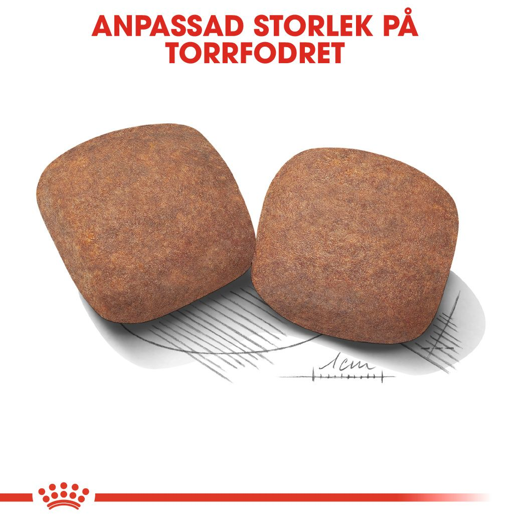 Royal Canin GIANT Adult Torrfoder för hund