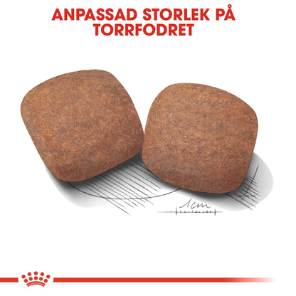 Royal Canin GIANT Adult Torrfoder för hund