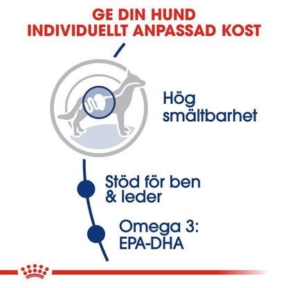 Royal  Canin MAXI Adult Torrfoder för hund