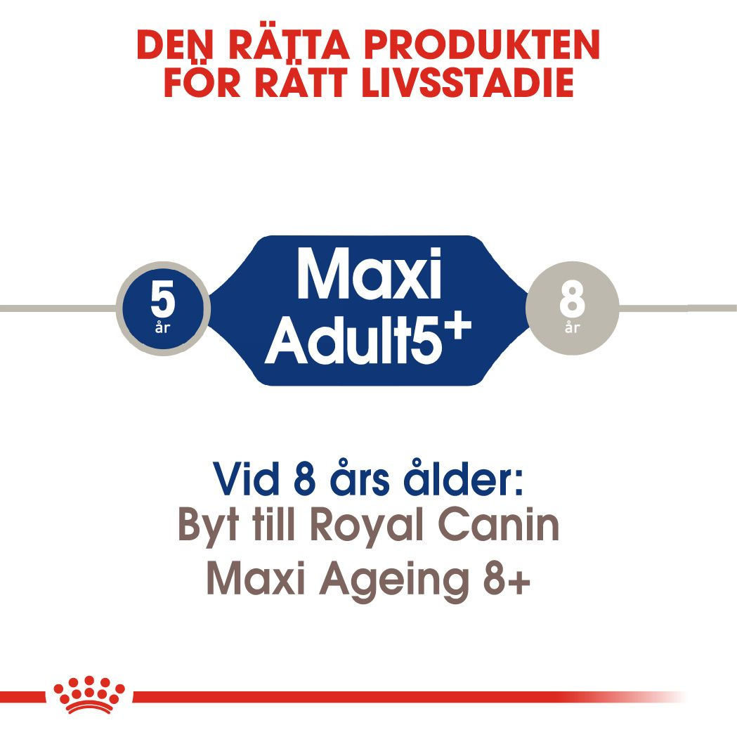 Royal   Canin MAXI Adult 5+ Torrfoder för hund