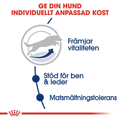 Royal   Canin MAXI Adult 5+ Torrfoder för hund