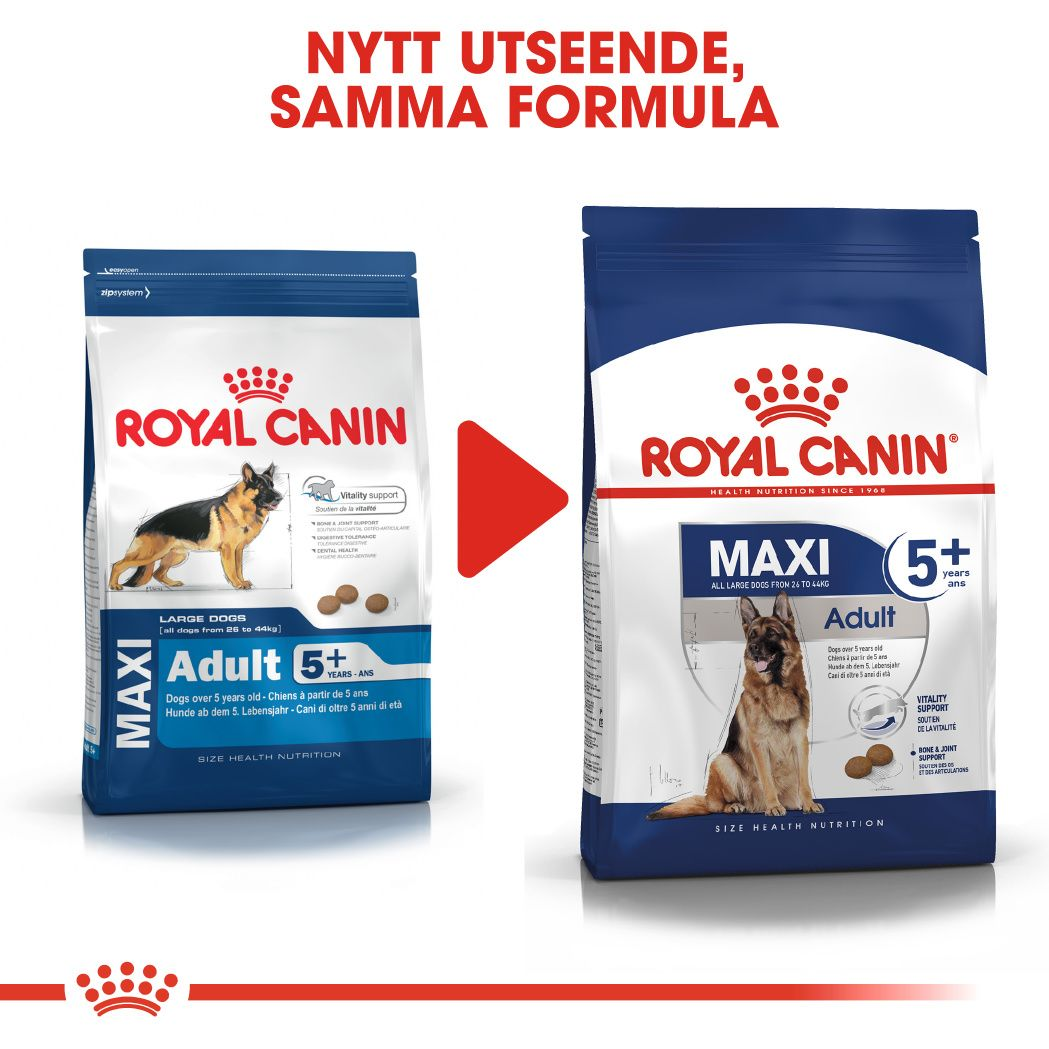 Royal   Canin MAXI Adult 5+ Torrfoder för hund