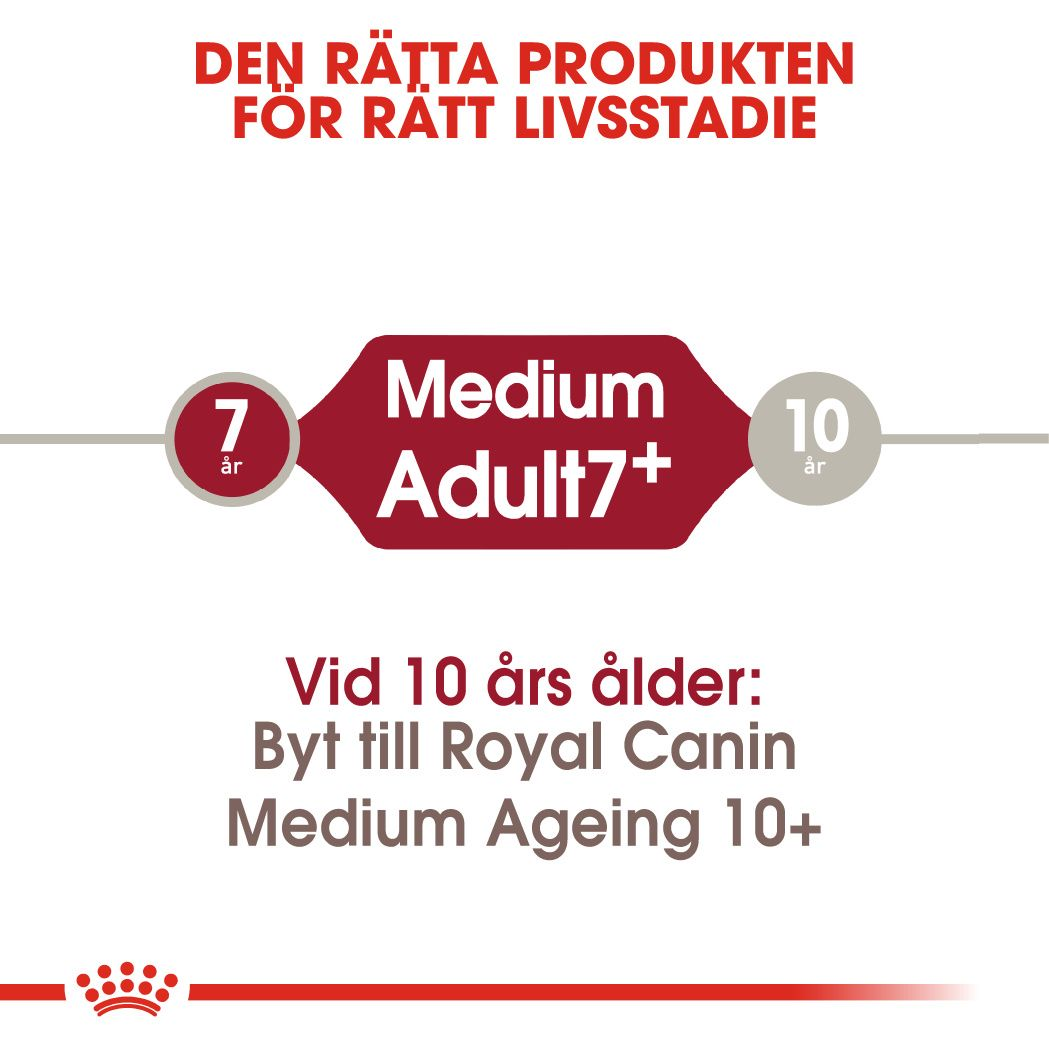 Royal Canin MEDIUM 7+ Ageing Torrfoder för hund