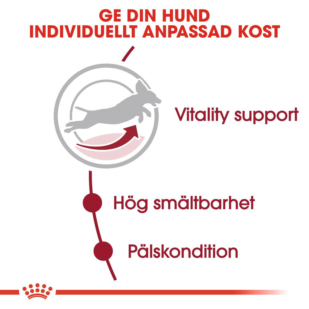 Royal Canin MEDIUM 7+ Ageing Torrfoder för hund