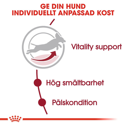 Royal Canin MEDIUM 7+ Ageing Torrfoder för hund