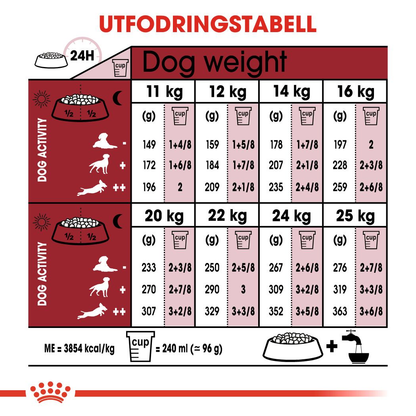 Royal Canin MEDIUM 7+ Ageing Torrfoder för hund