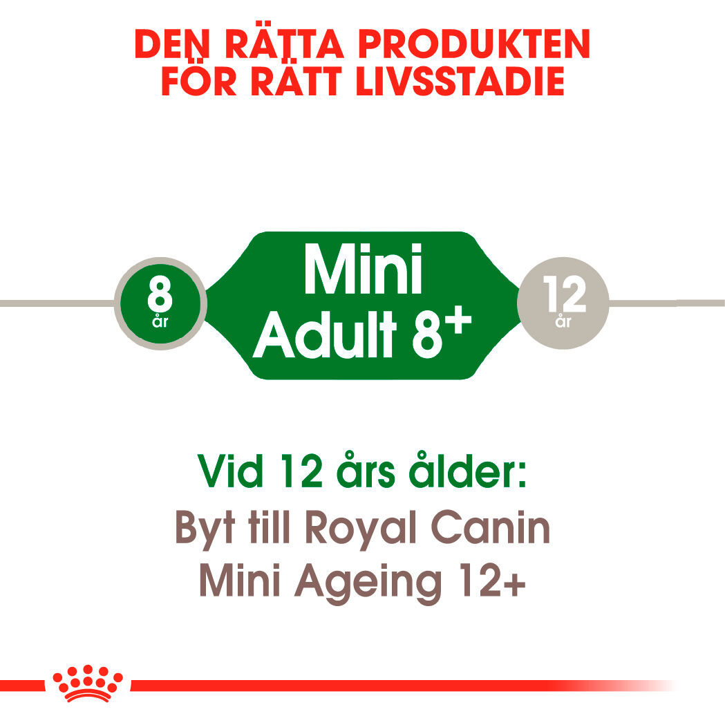 Royal  Canin MINI 8+ Ageing Torrfoder för hund