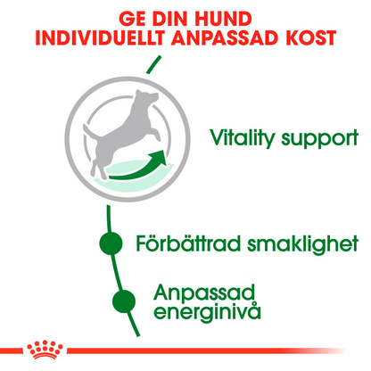 Royal  Canin MINI 8+ Ageing Torrfoder för hund