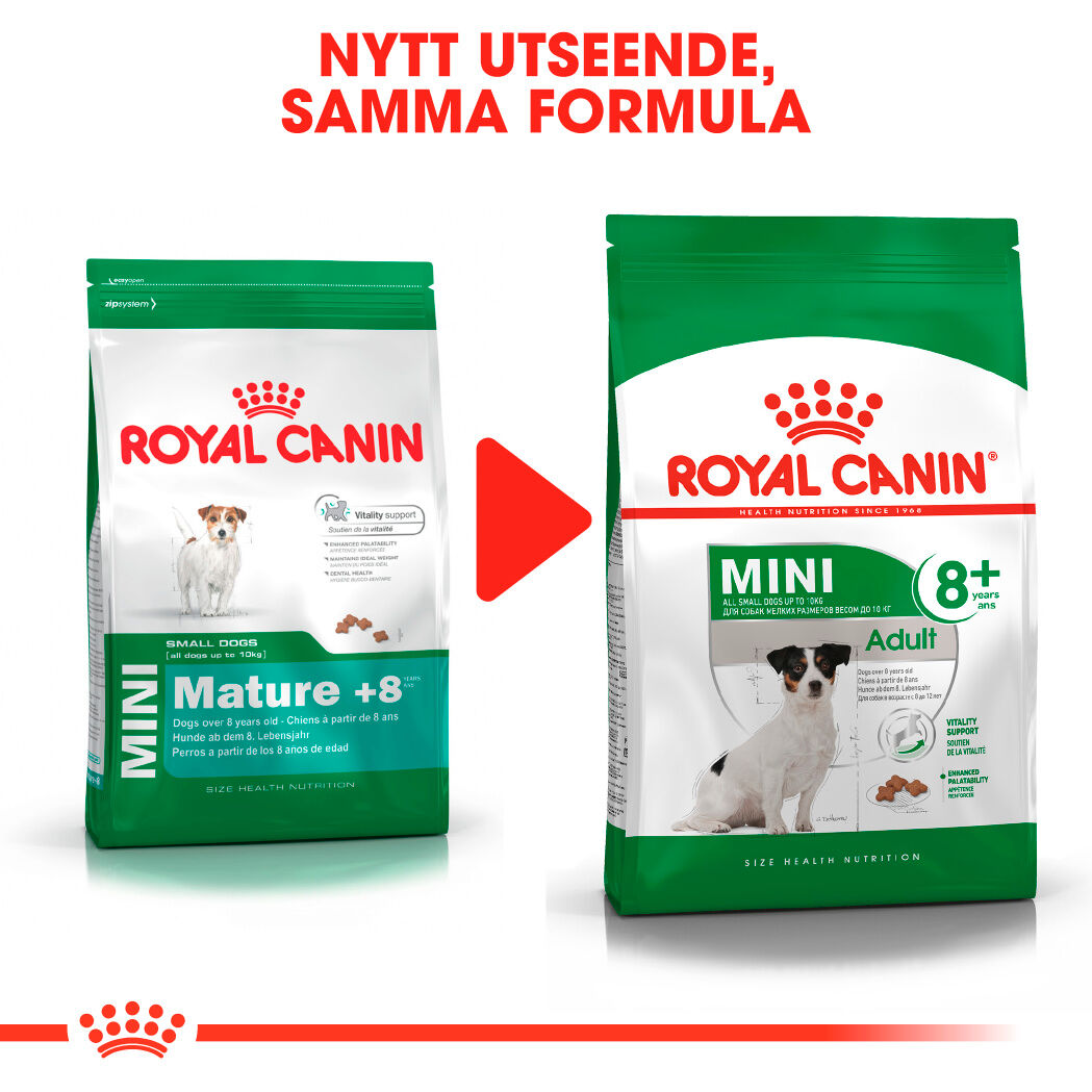 Royal  Canin MINI 8+ Ageing Torrfoder för hund