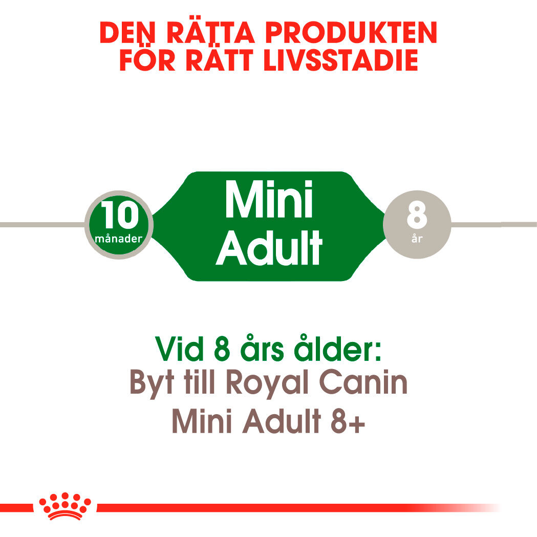 Royal Canin MINI Adult Torrfoder för hund