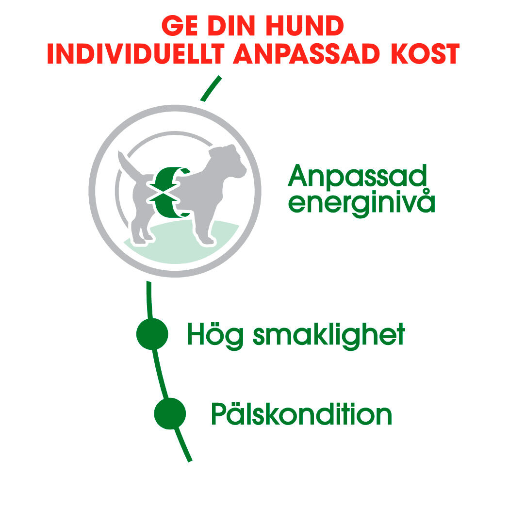 Royal Canin MINI Adult Torrfoder för hund