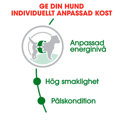 Royal Canin MINI Adult Torrfoder för hund