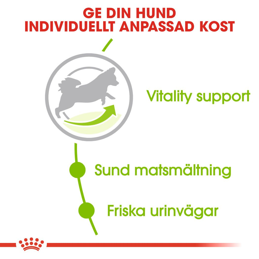 Royal Canin X-SMALL 8+ Adult Torrfoder för hund