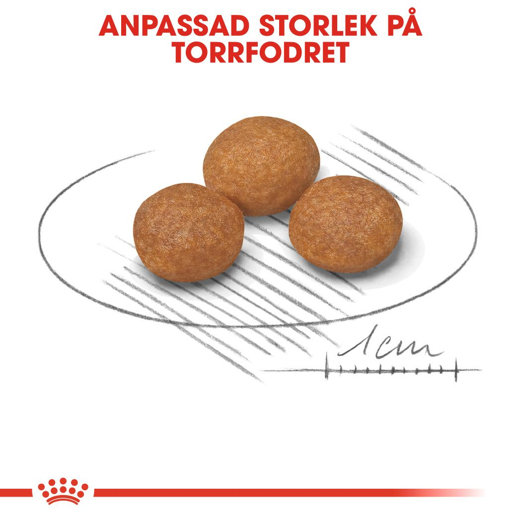 Royal Canin X-SMALL 8+ Adult Torrfoder för hund