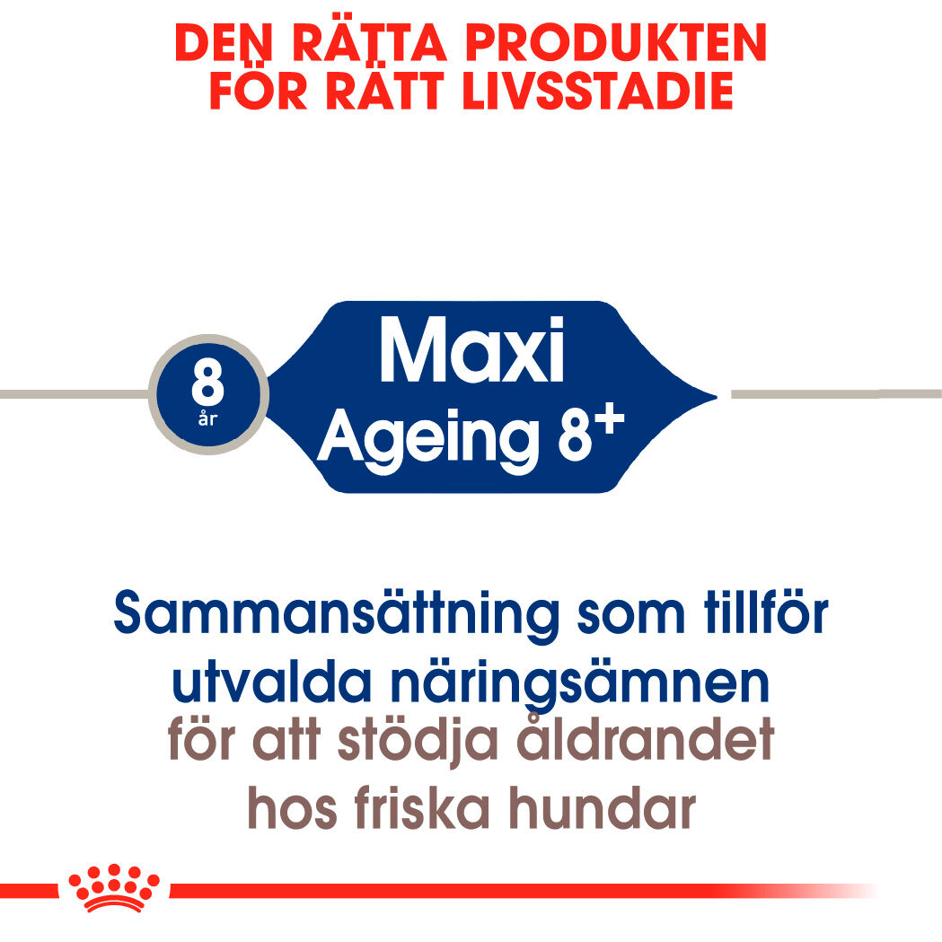 Royal Canin MAXI Ageing 8+ Ageing Torrfoder för hund
