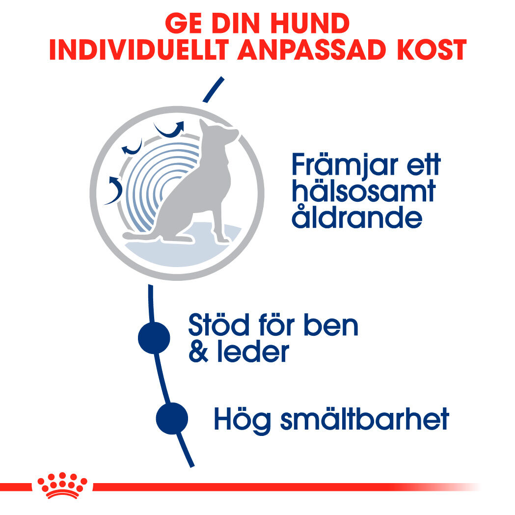 Royal Canin MAXI Ageing 8+ Ageing Torrfoder för hund