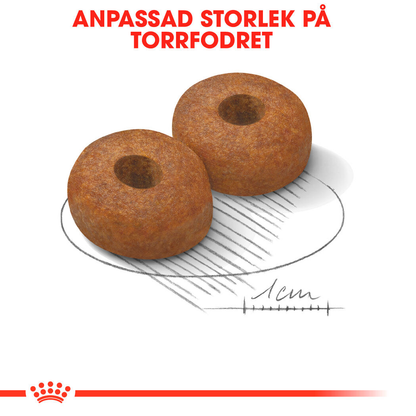 Royal Canin MAXI Ageing 8+ Ageing Torrfoder för hund