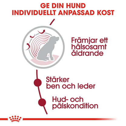 Royal Canin MEDIUM Ageing 10+ Ageing Torrfoder för hund