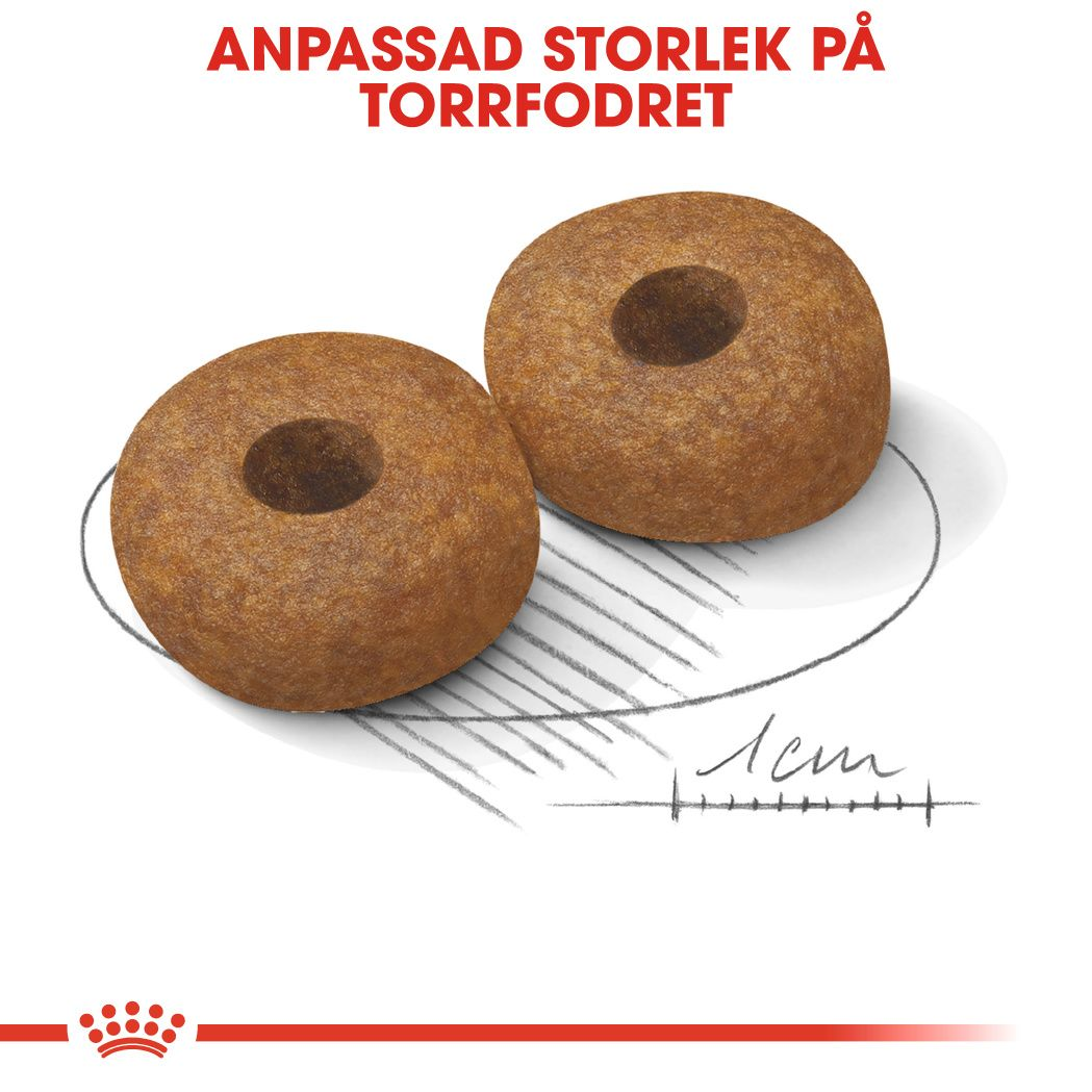 Royal Canin MEDIUM Ageing 10+ Ageing Torrfoder för hund