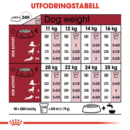Royal Canin MEDIUM Ageing 10+ Ageing Torrfoder för hund