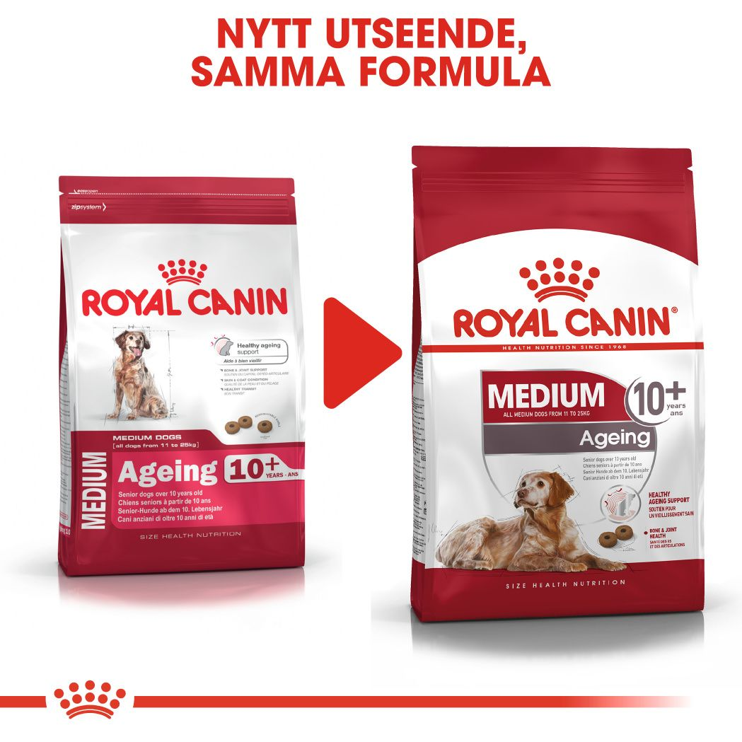 Royal Canin MEDIUM Ageing 10+ Ageing Torrfoder för hund
