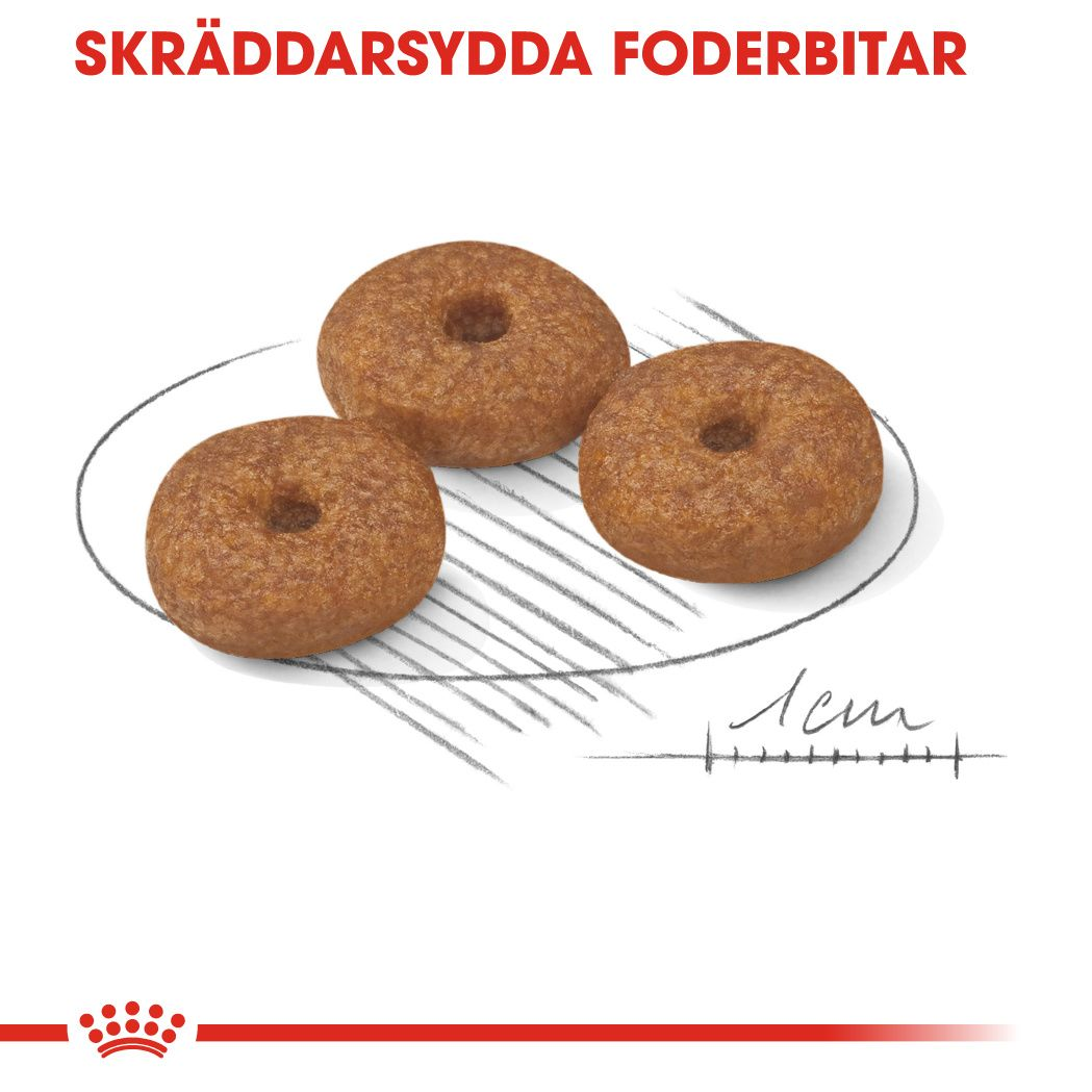 Royal  Canin MINI Ageing 12+ Ageing Torrfoder för hund