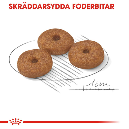 Royal  Canin MINI Ageing 12+ Ageing Torrfoder för hund