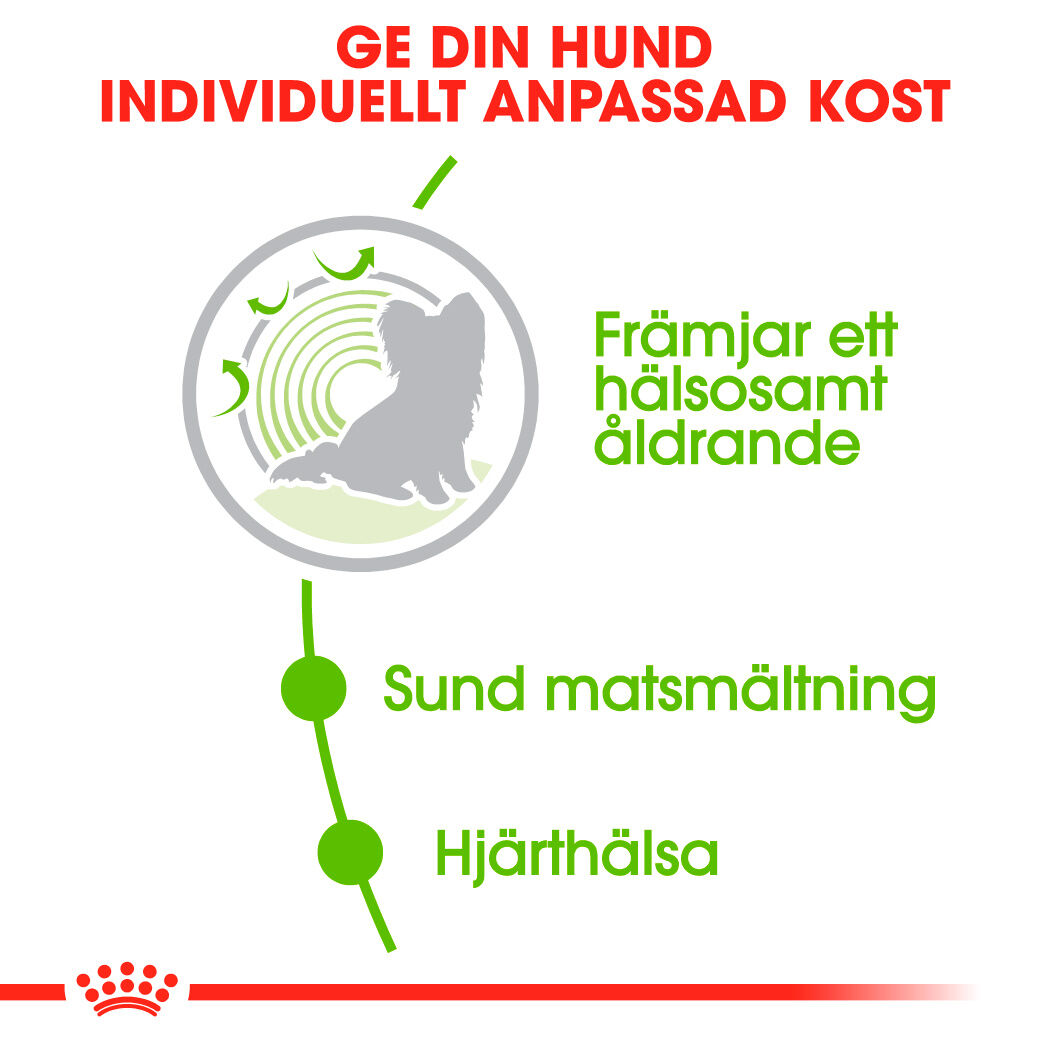 Royal Canin X-SMALL Ageing 12+ Ageing Torrfoder för hund