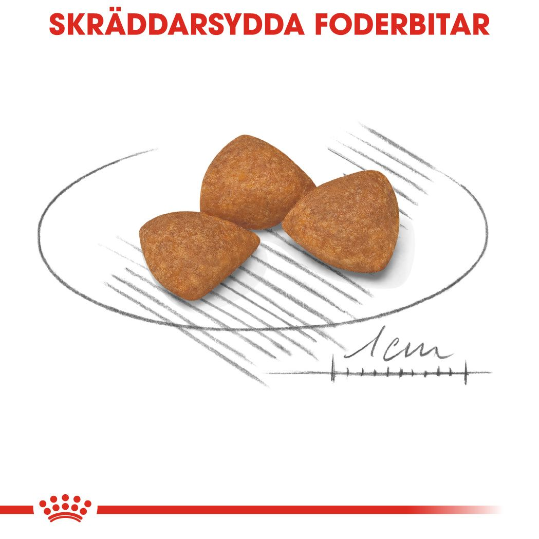 Royal Canin X-SMALL Ageing 12+ Ageing Torrfoder för hund