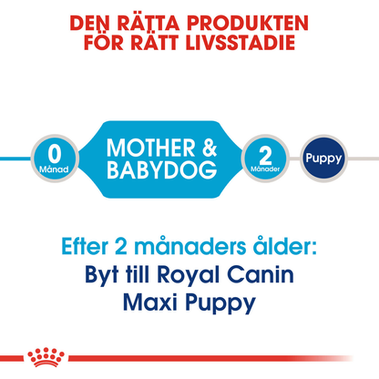 Royal Canin Maxi Starter Torrfoder för hundvalp
