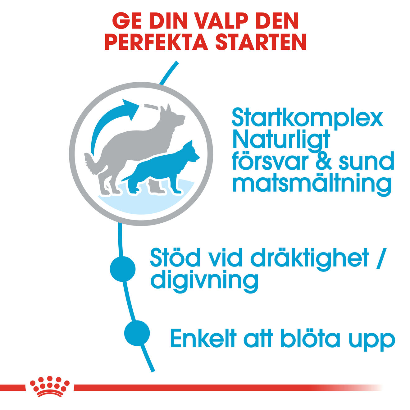 Royal Canin Maxi Starter Torrfoder för hundvalp