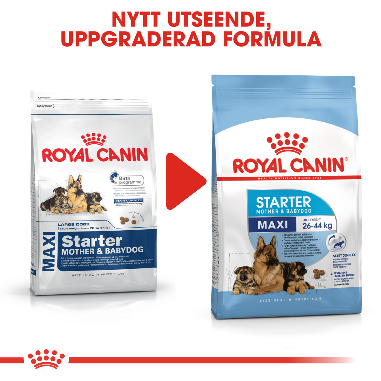 Royal Canin Maxi Starter Torrfoder för hundvalp