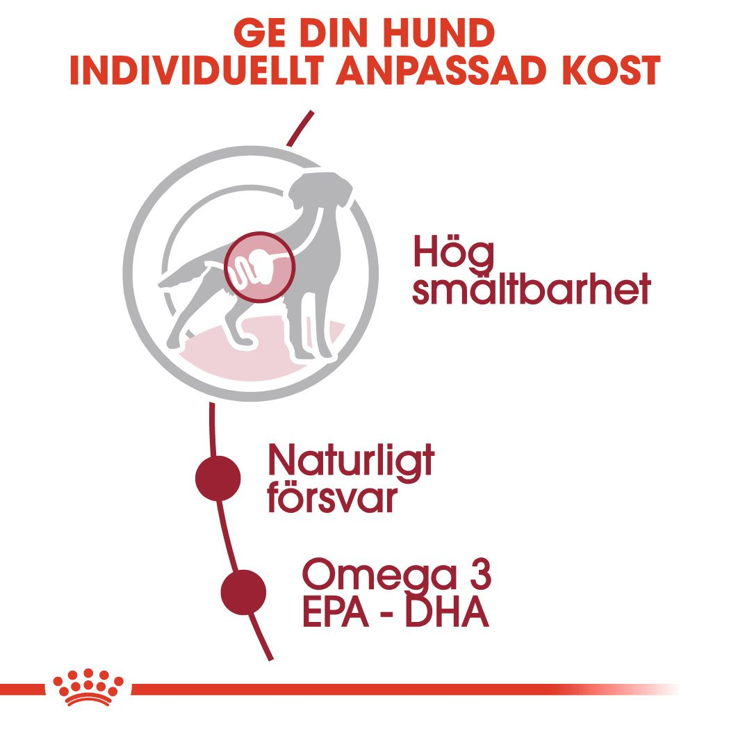 Royal Canin SHN Medium Adult Våtfoder för hund