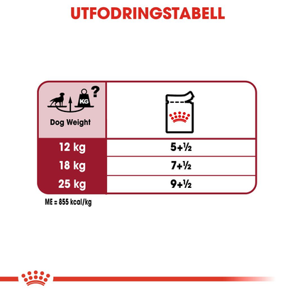 Royal Canin SHN Medium Adult Våtfoder för hund