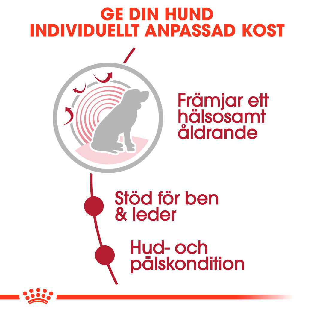 Royal Canin Medium Ageing Våtfoder för hund