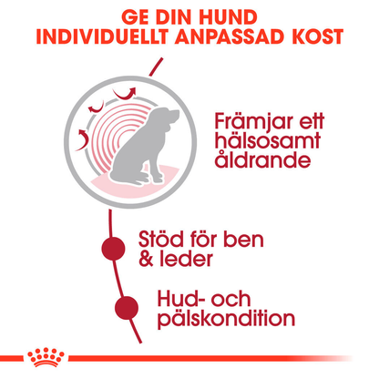 Royal Canin Medium Ageing Våtfoder för hund