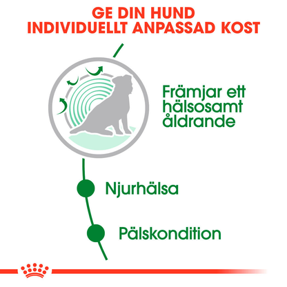 Royal Canin Mini Ageing Våtfoder för hund