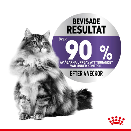 Royal Canin Appetite Control Care Adult Torrfoder för katt