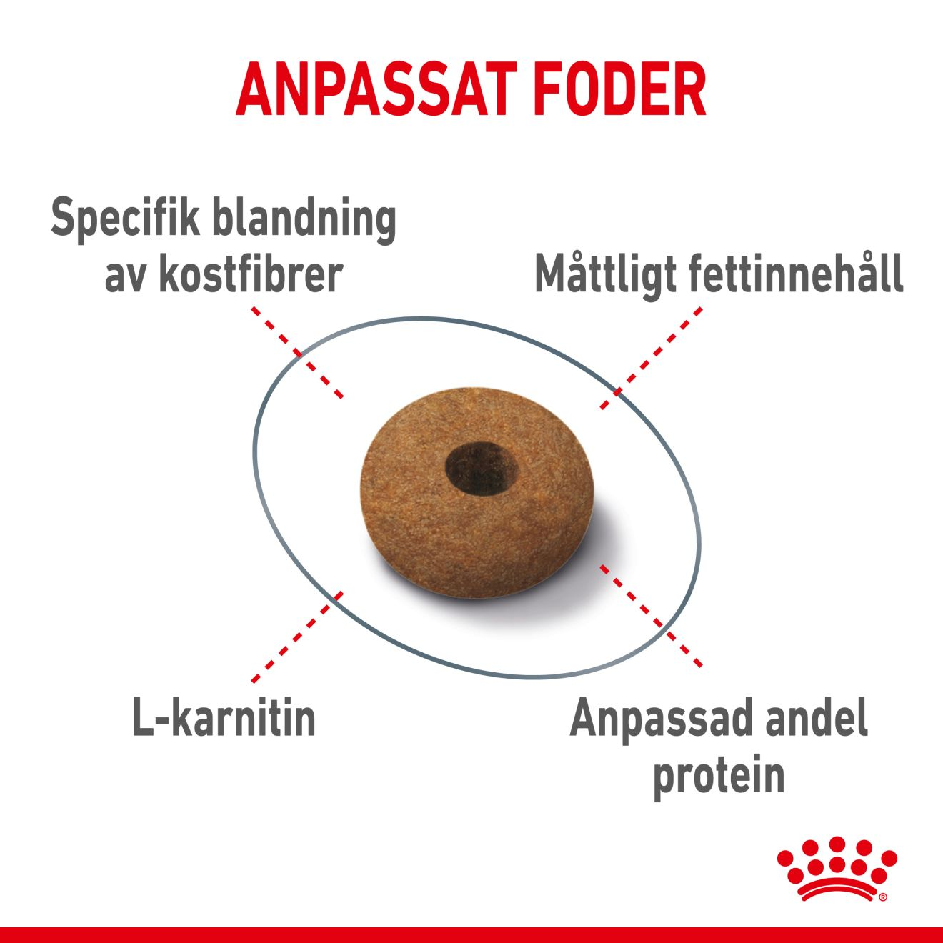 Royal Canin Appetite Control Care Adult Torrfoder för katt