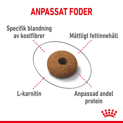 Royal Canin Appetite Control Care Adult Torrfoder för katt