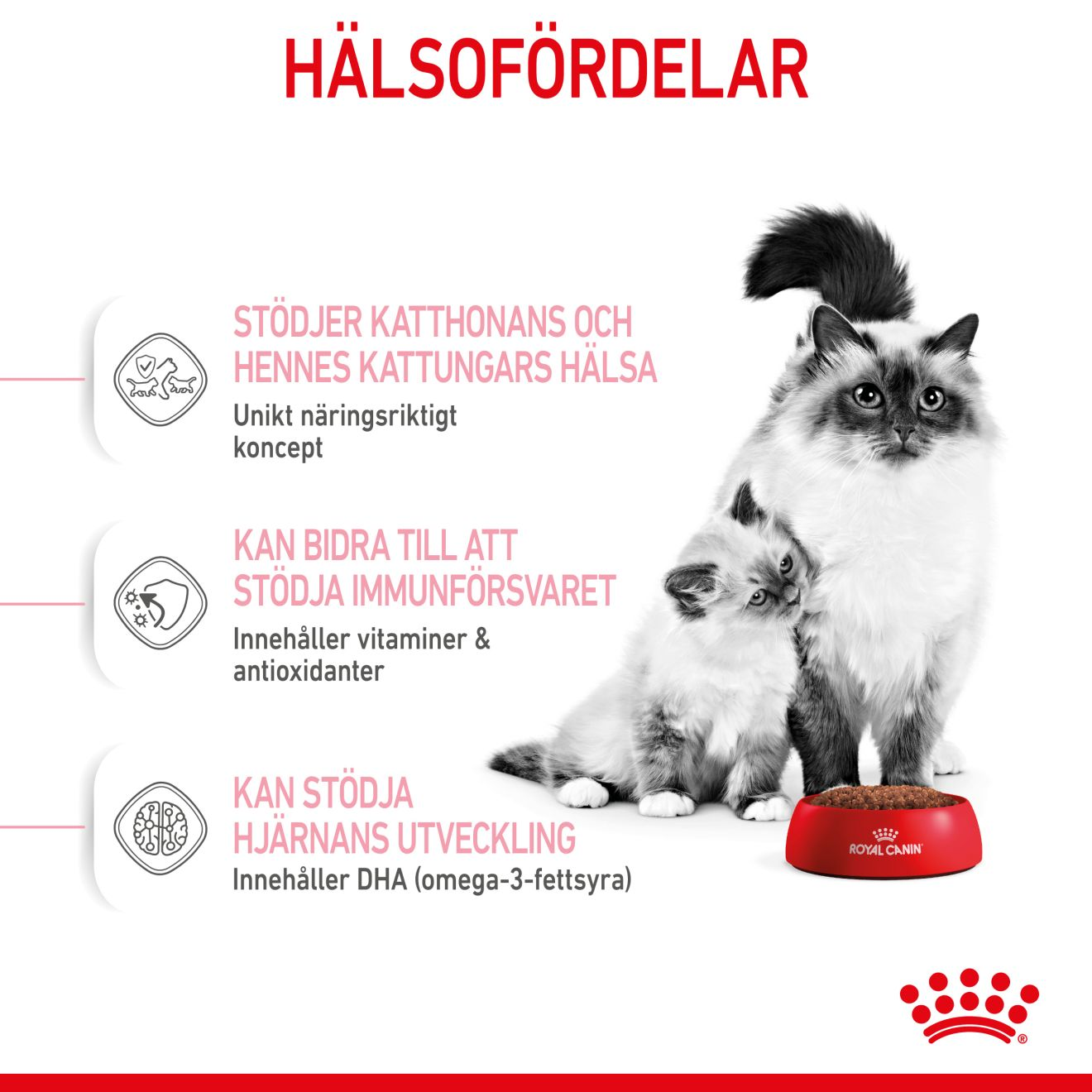 Royal Canin Mother & Babycat Torrfoder för kattunge