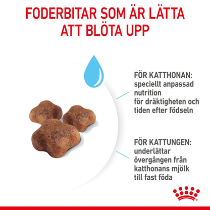 Royal Canin Mother & Babycat Torrfoder för kattunge