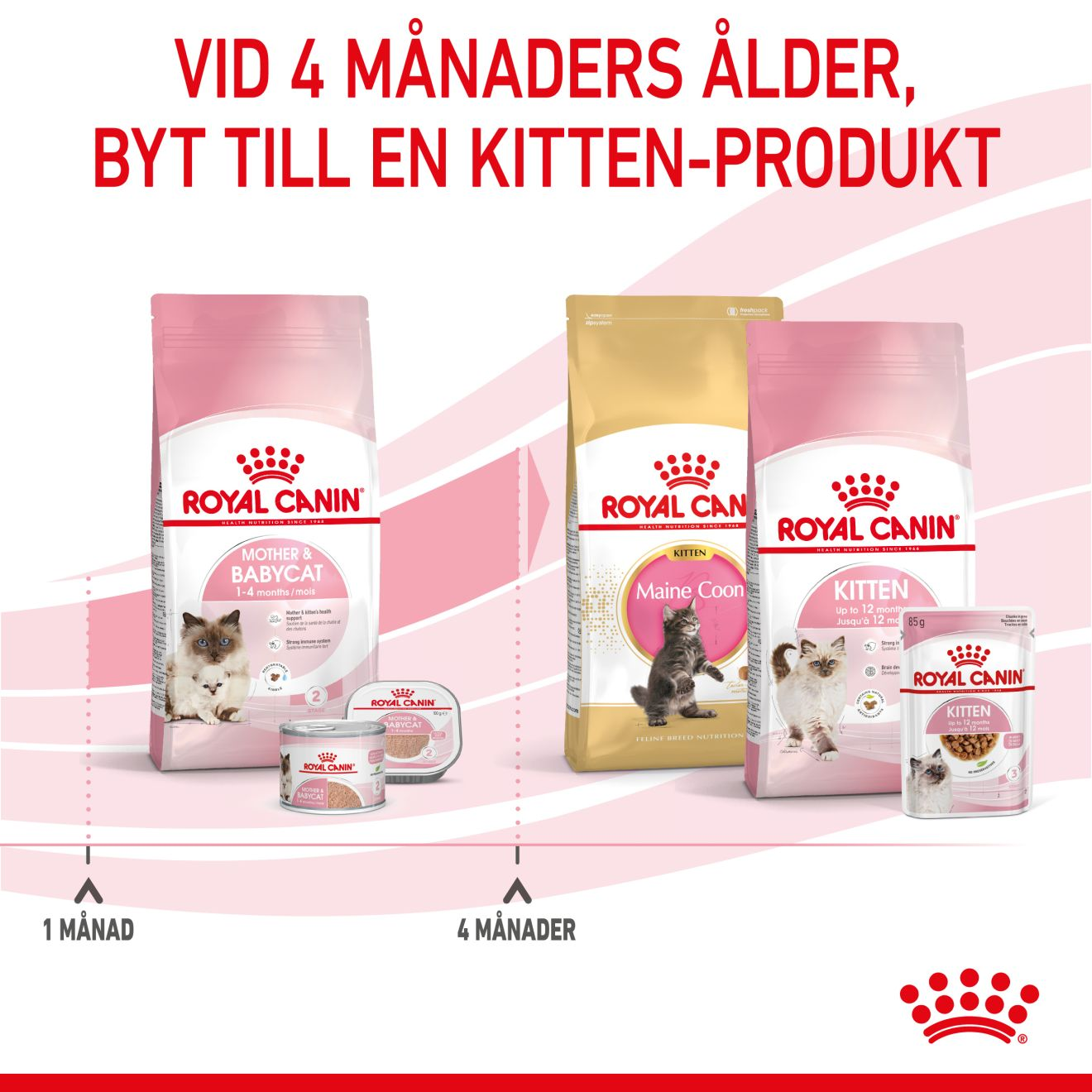 Royal Canin Mother & Babycat Torrfoder för kattunge