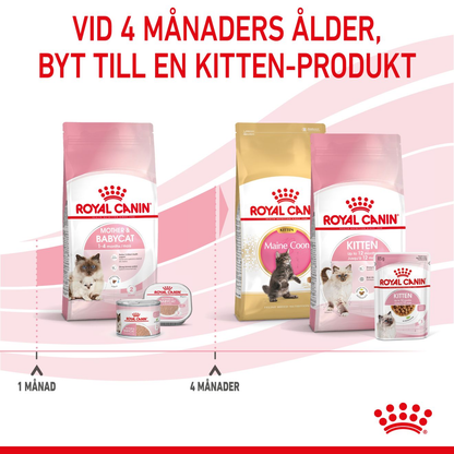 Royal Canin Mother & Babycat Torrfoder för kattunge