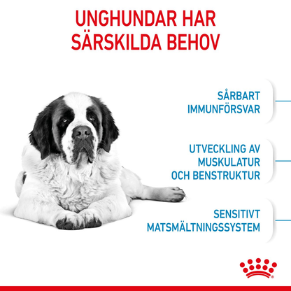 Royal Canin Giant Junior Torrfoder för hundvalp