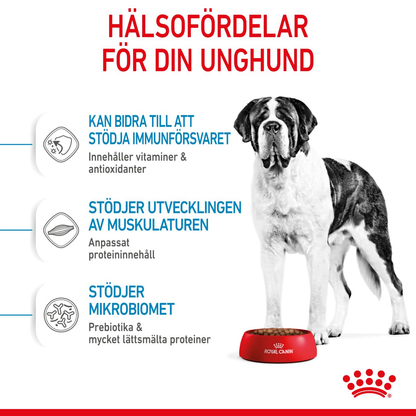 Royal Canin Giant Junior Torrfoder för hundvalp