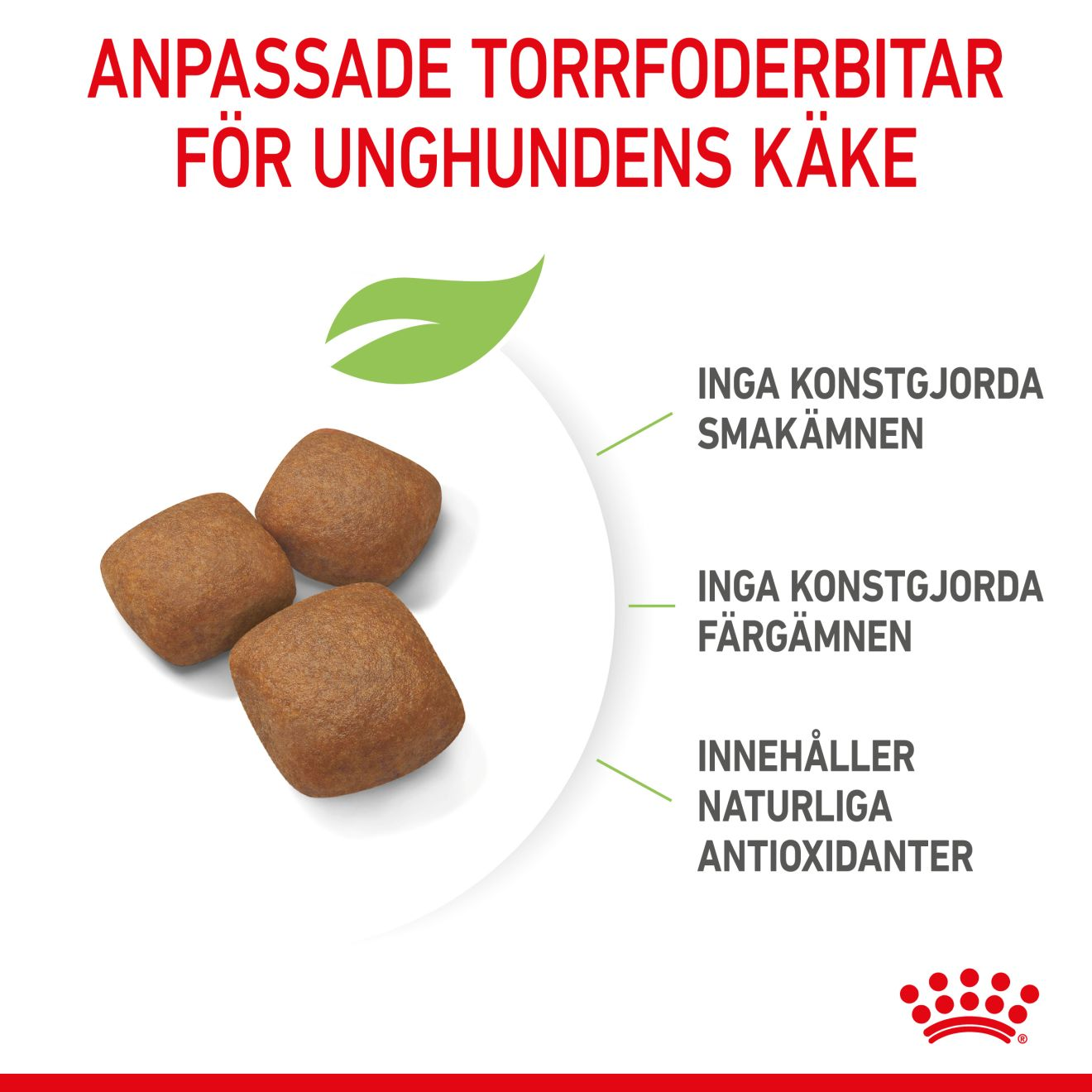 Royal Canin Giant Junior Torrfoder för hundvalp