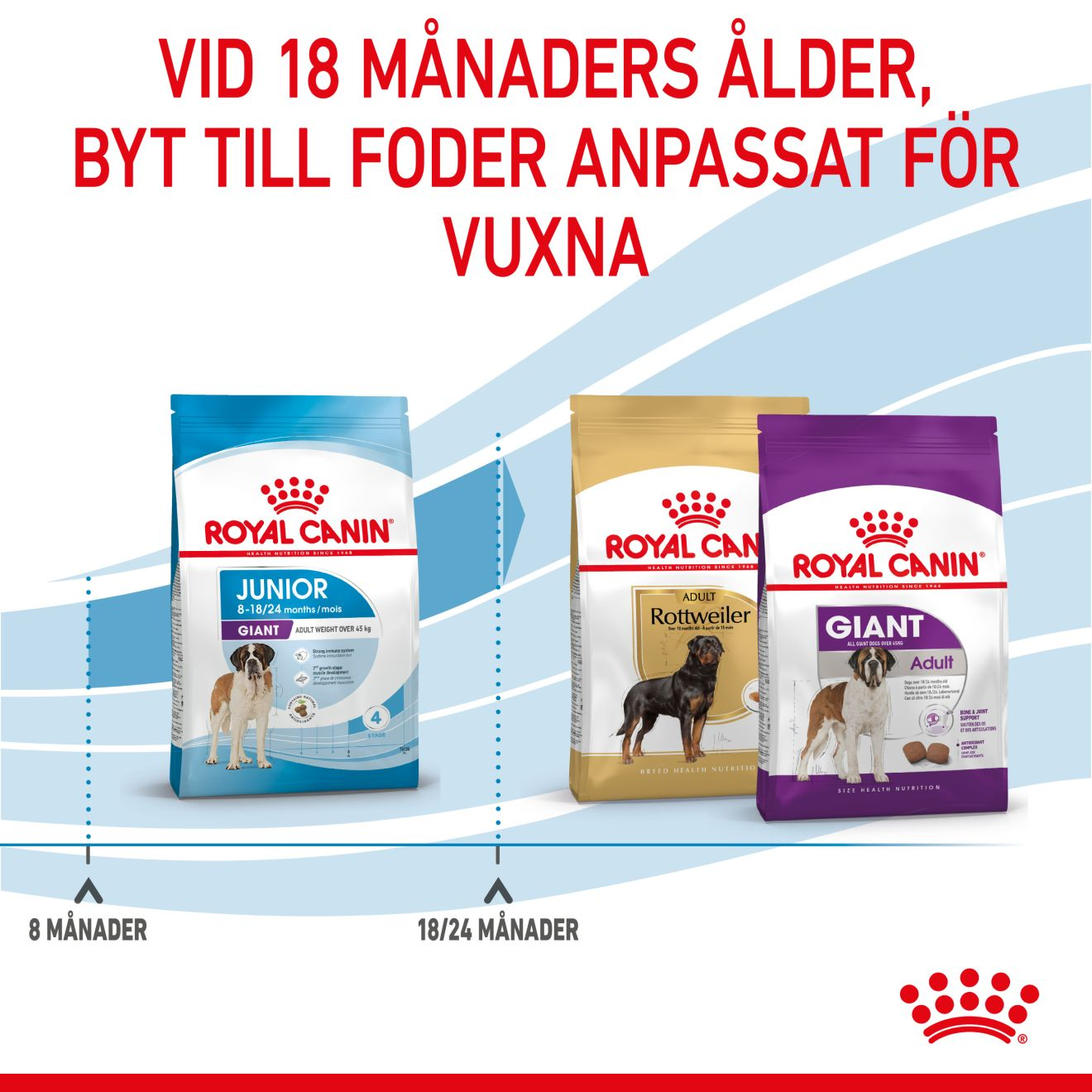 Royal Canin Giant Junior Torrfoder för hundvalp