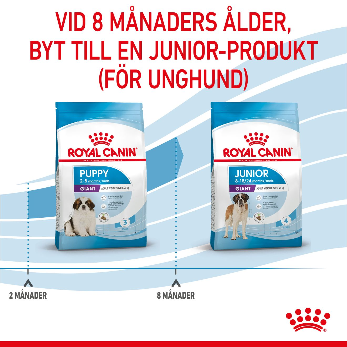 Royal Canin Giant Puppy Torrfoder för hundvalp