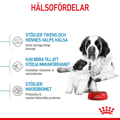 Royal Canin Giant Starter Torrfoder för hundvalp